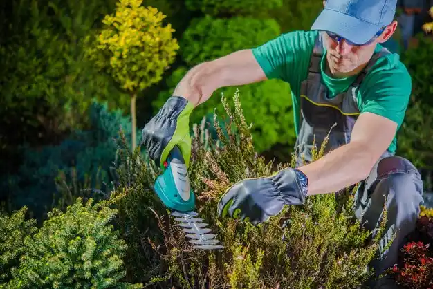 landscaping services Sterling